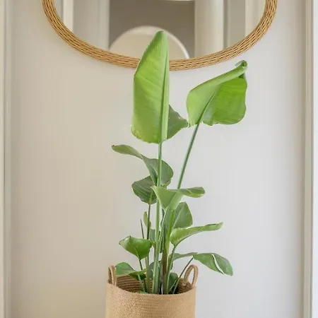 Elle Exclusive Isola D'elba Capoliveri (Isola d'Elba)