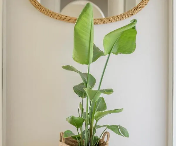 Elle Exclusive Isola D'elba Capoliveri